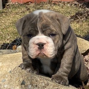 Meet your Posher, Will